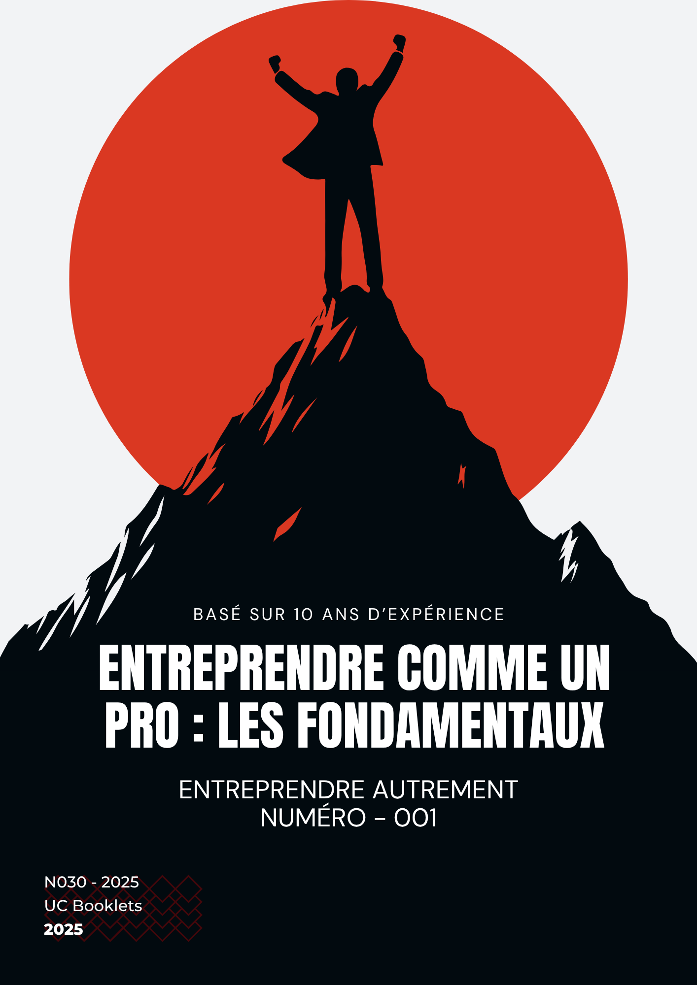 Entreprendre comme un pro - les fondamentaux